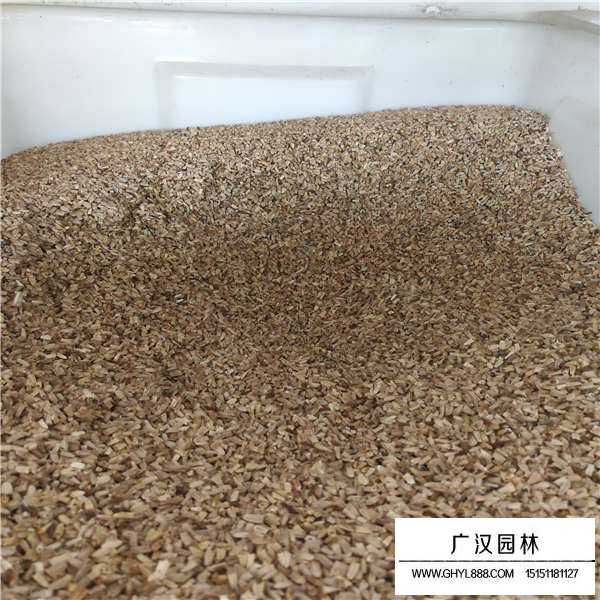 草原松果菊的價(jià)值(圖3)