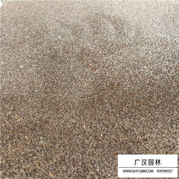 假龍頭種子價(jià)格是多少(圖2)