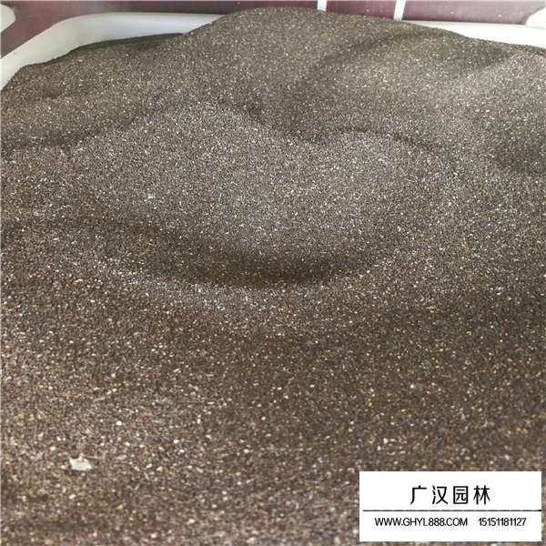 金魚草種子多少錢一斤(圖2)