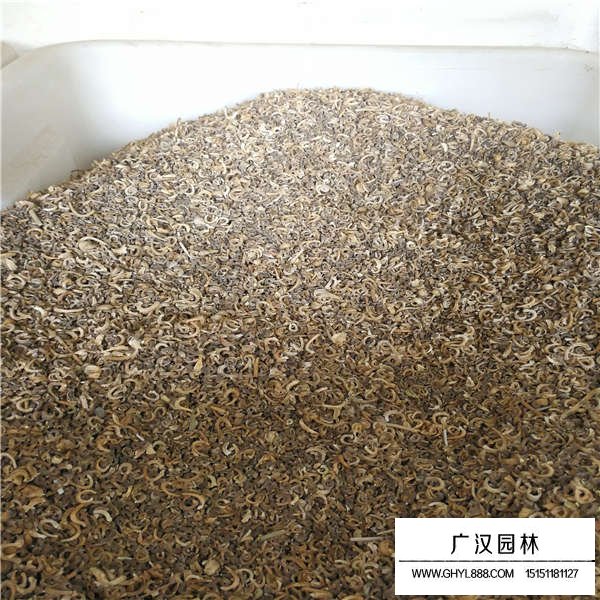 金盞菊種子貴嗎(圖2)