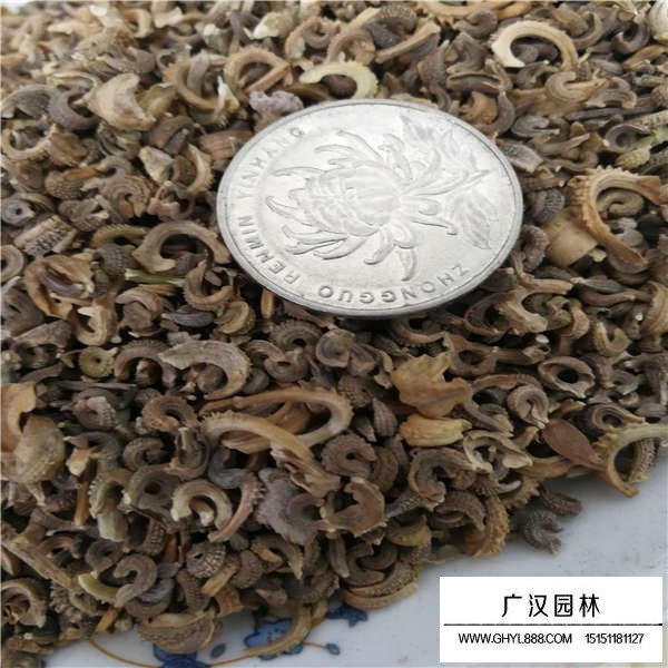 金盞菊種子貴嗎(圖3)