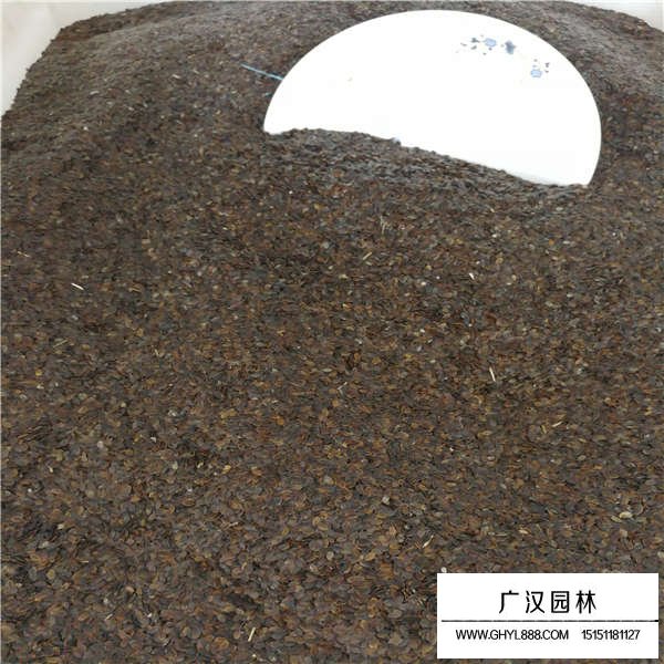 蘭花亞麻種子價格貴嗎(圖3)