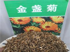 金盞菊種子