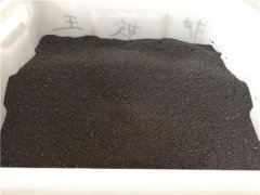 蘭花鼠尾草種子