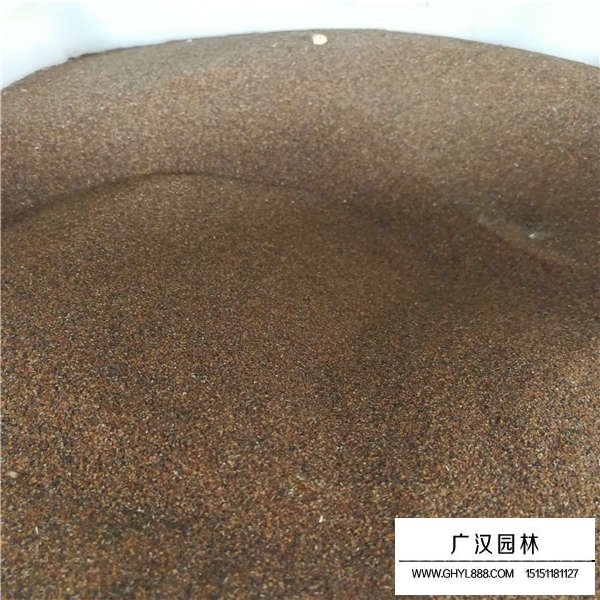 婆娑納種子(圖2)