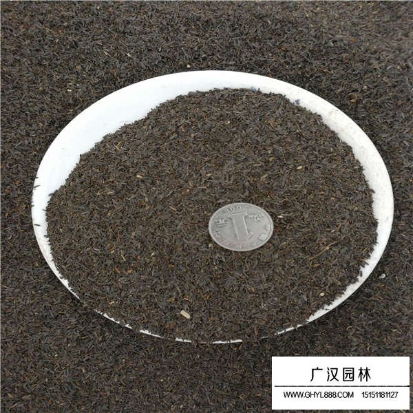 蛇目菊種子(圖2)