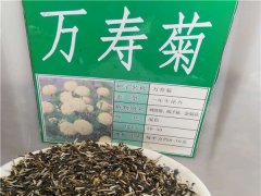萬壽菊種子