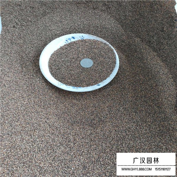 紫花地丁種子(圖3)