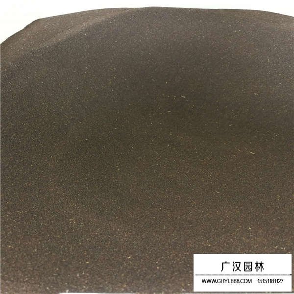 冰島虞美人種子哪里有賣的(圖2)