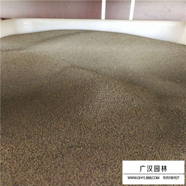 大花剪秋蘿種子多少錢一斤(圖2)