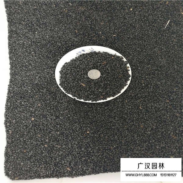 大花萱草種子價格是多少(圖3)