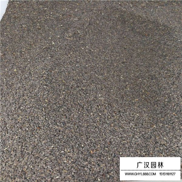 福祿考種子容易種植嗎(圖2)