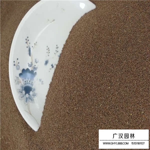 狗牙根種子貴嗎(圖3)