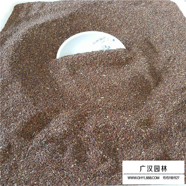 紫云英種子產(chǎn)地在哪里(圖3)