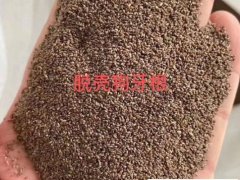 狗牙根去殼種子