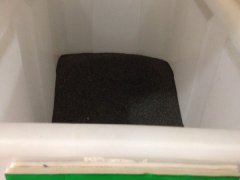 留蘭香薄荷種子