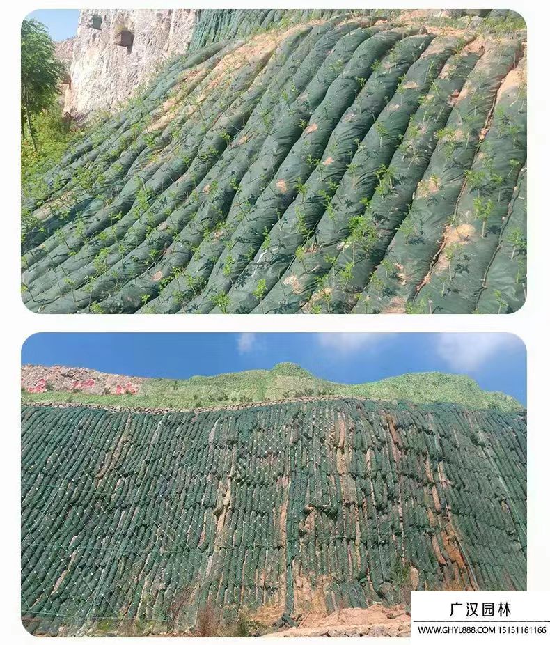 礦山改造 (4).jpg