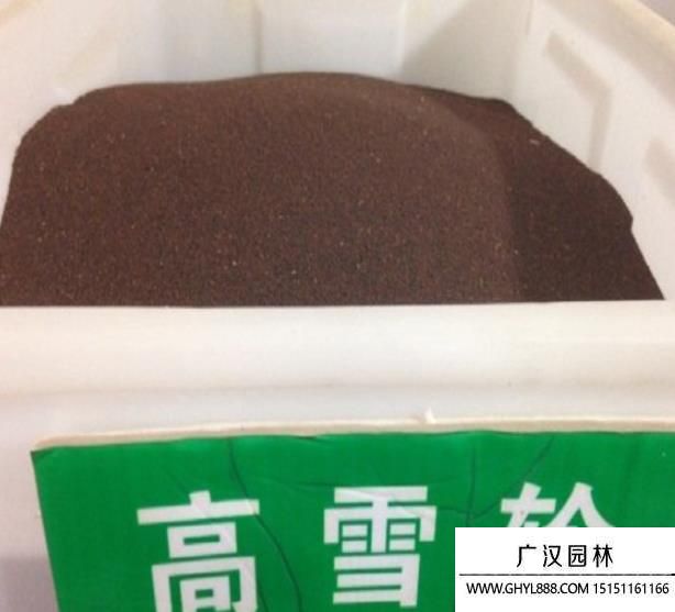 高雪輪種子 高雪輪種子