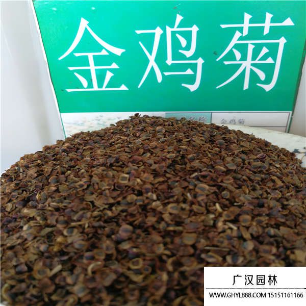 各種花草種子 各種花草種子