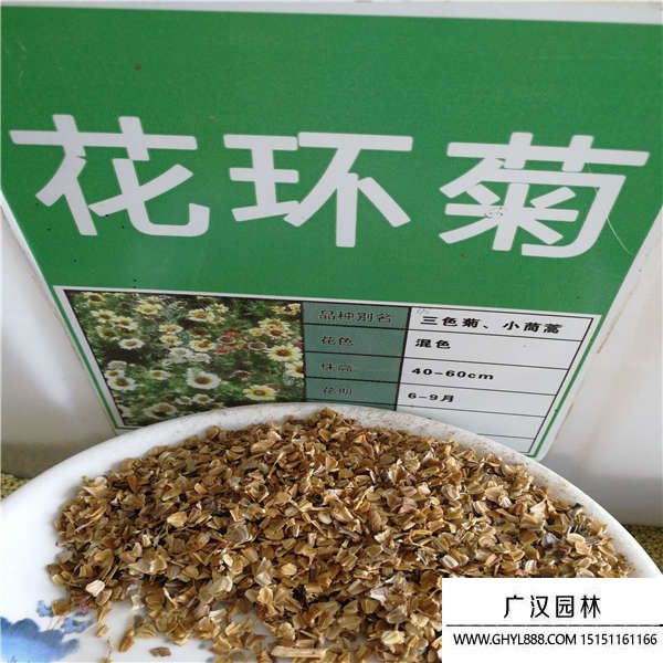 花環(huán)菊種子