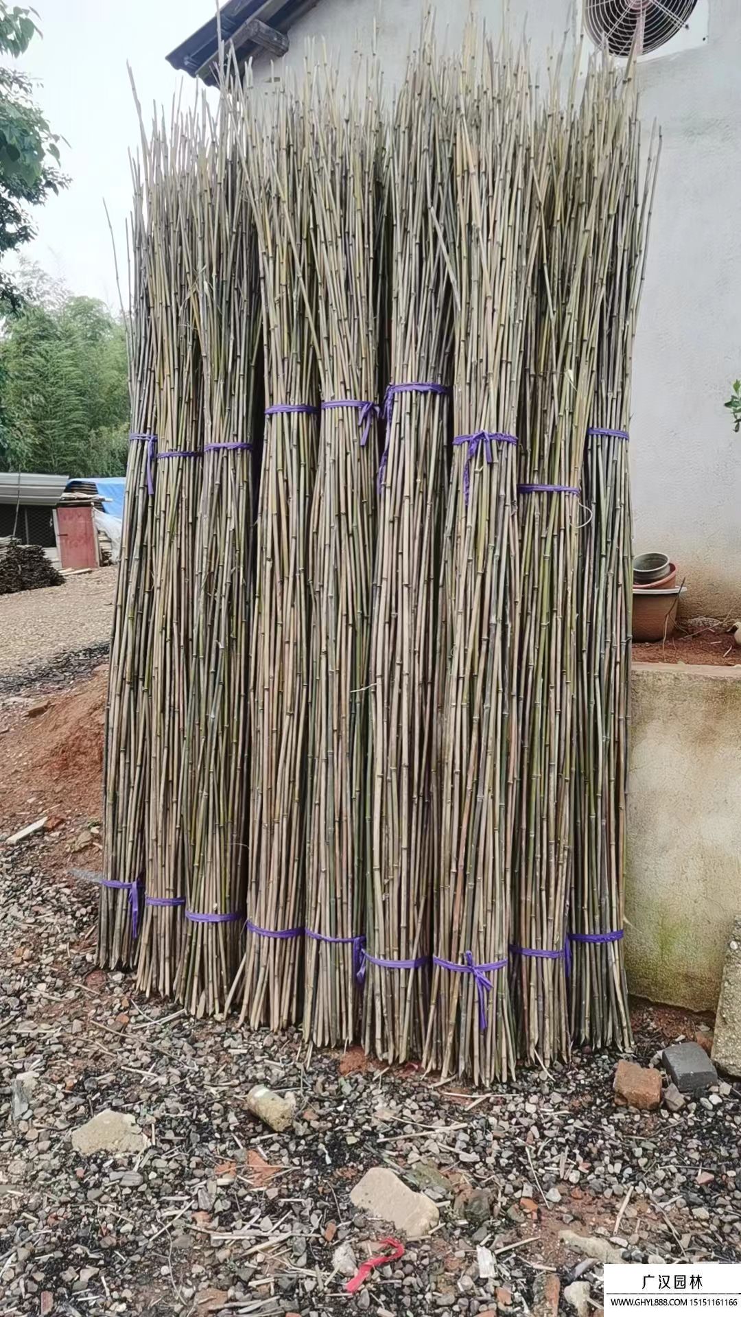 菜架竹子 菜架竹子