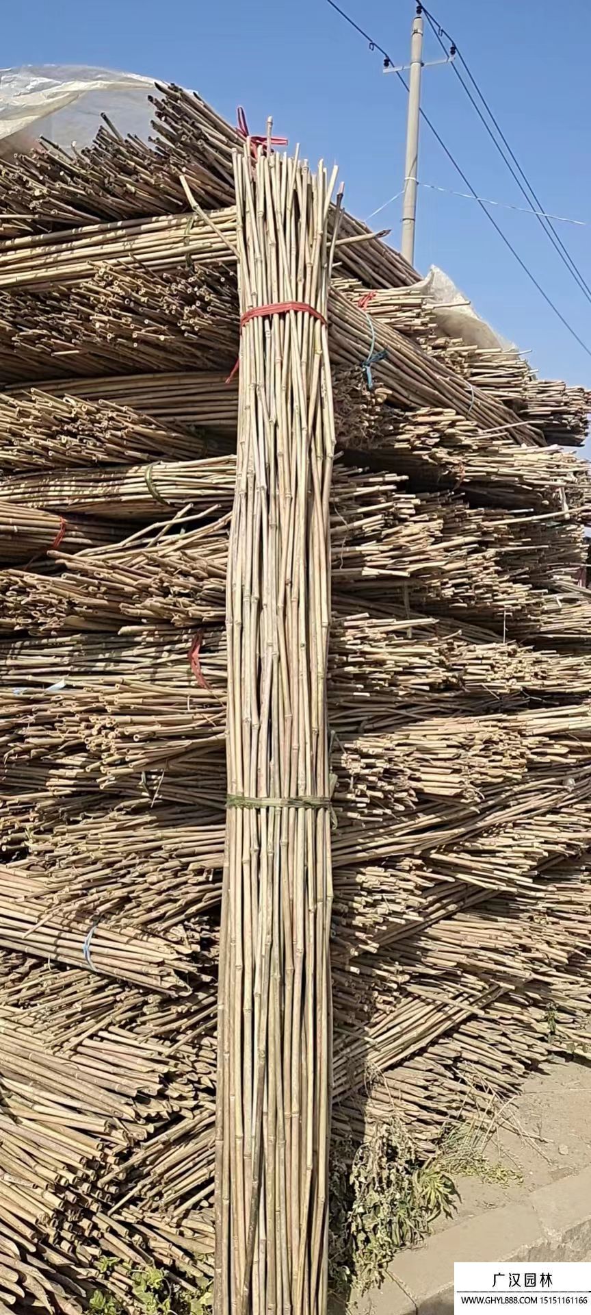 菜架竹子 菜架竹子