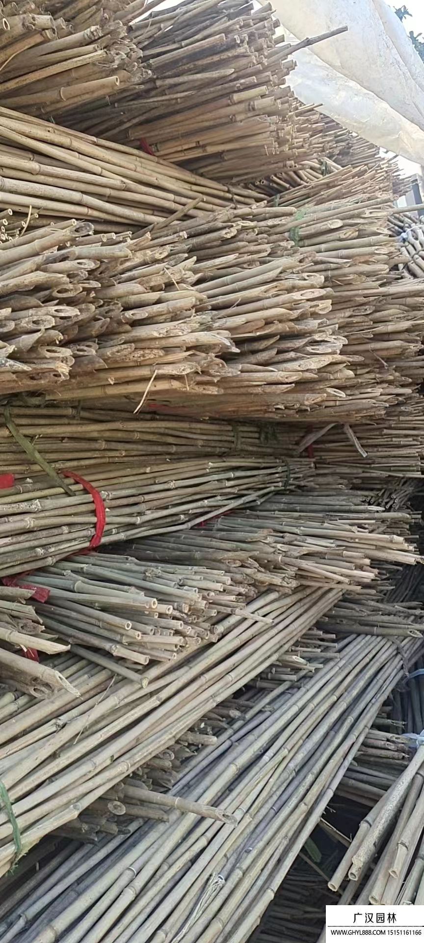 菜架竹子 菜架竹子