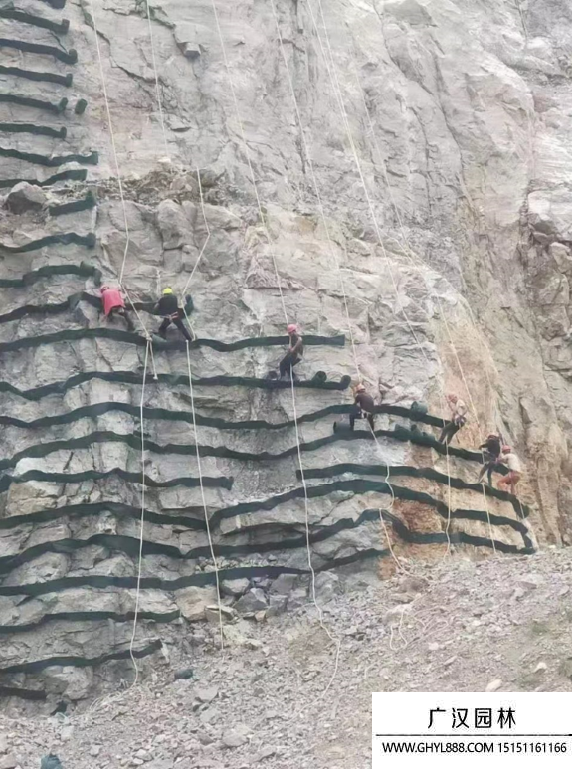 綠化護(hù)坡網(wǎng)袋 綠化護(hù)坡網(wǎng)袋