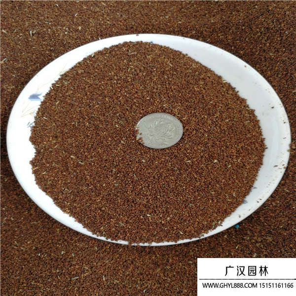 月見草種子 月見草種子