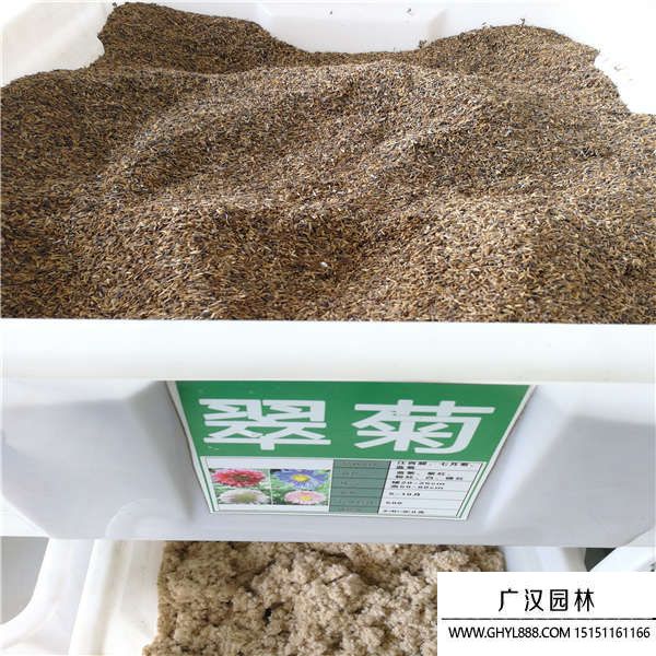 鮮花種子 鮮花種子