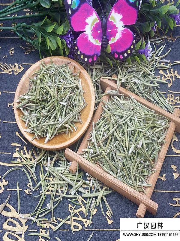 迷迭香5_副本.jpg 迷迭香5_副本.jpg