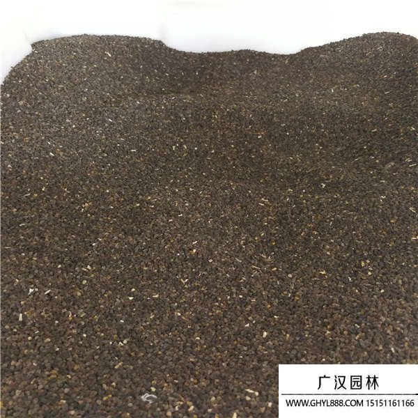 飛燕草種子 飛燕草種子