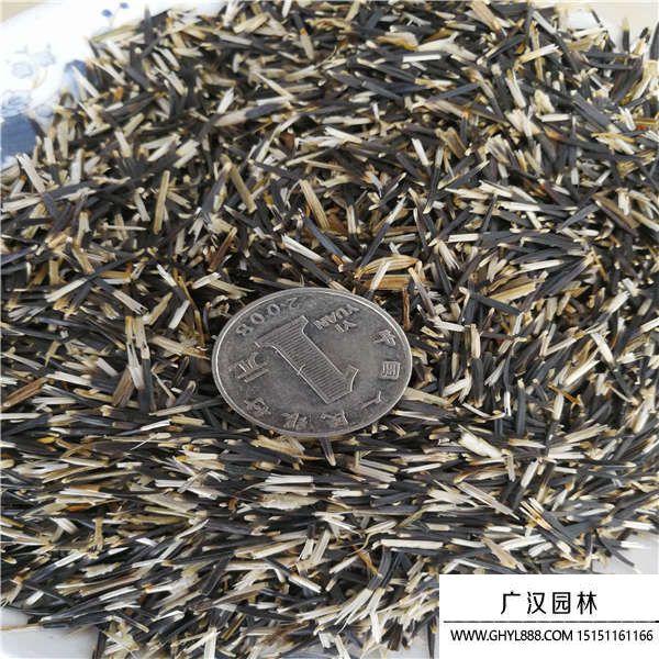 萬(wàn)壽菊種子 萬(wàn)壽菊種子