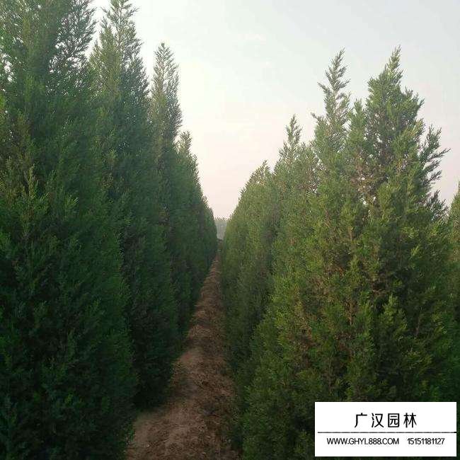 望都檜基地在哪里(圖1)