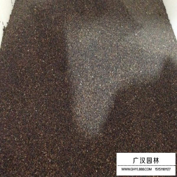 紅花鼠尾草種子