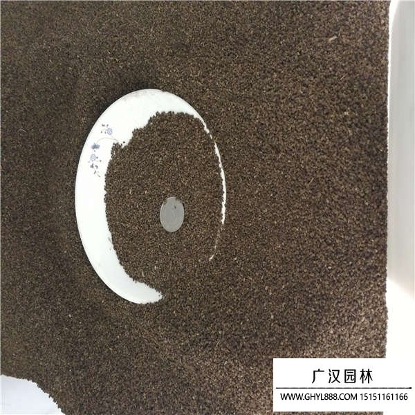 千鳥(niǎo)草種子