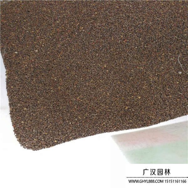 火炬種子 (1).jpg