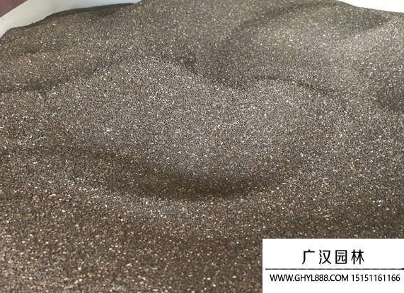 金魚草種子 金魚草種子