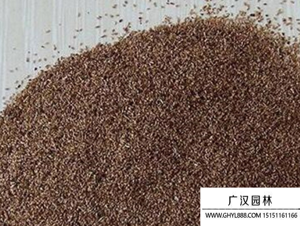 細(xì)莖針茅種子