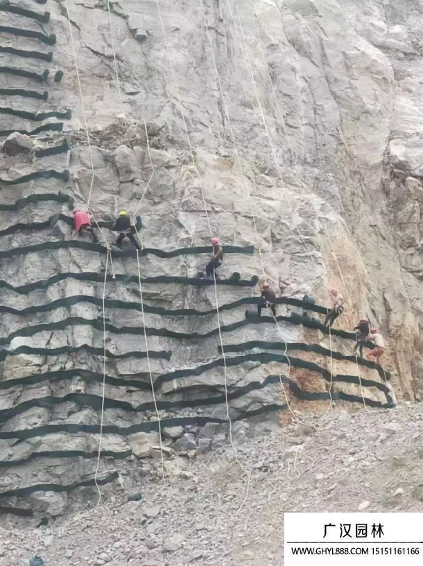 礦山生態(tài)恢復(fù)治理 礦山生態(tài)恢復(fù)治理