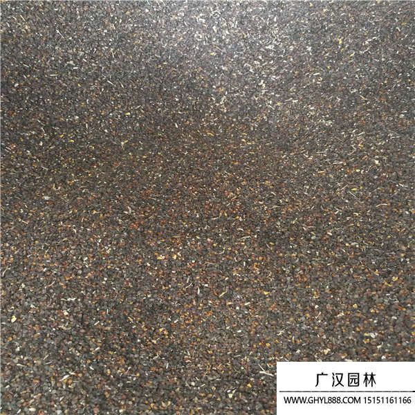 石竹花種子 石竹花種子