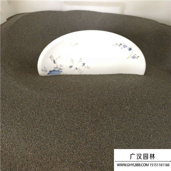 太陽(yáng)花籽 太陽(yáng)花籽