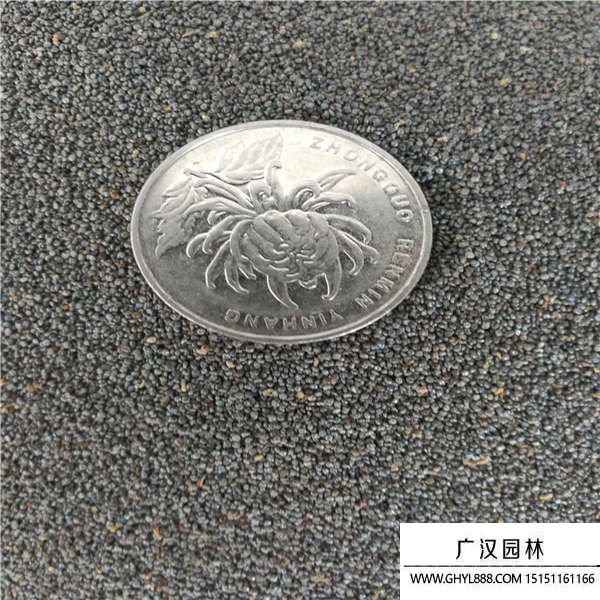 太陽(yáng)花籽 太陽(yáng)花籽